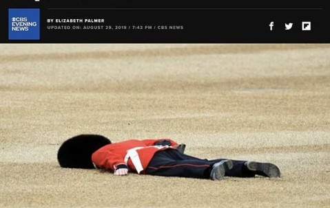 宝盈在线-关于黄蜂后卫因伤报销赛季，球队急需新血液填补的信息