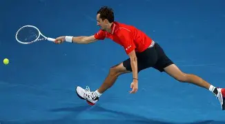 布莱顿实力抢眼，战胜对手赢得认可的简单介绍